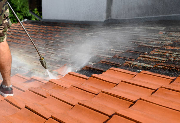  Margaret, AL Pressure Washing Pros